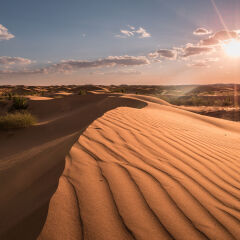 内蒙古库布齐沙漠绿洲