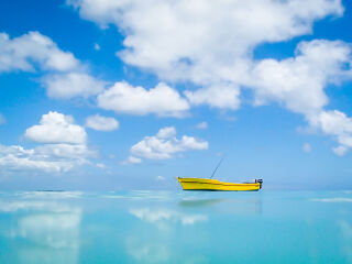 毛里求斯海豚湾