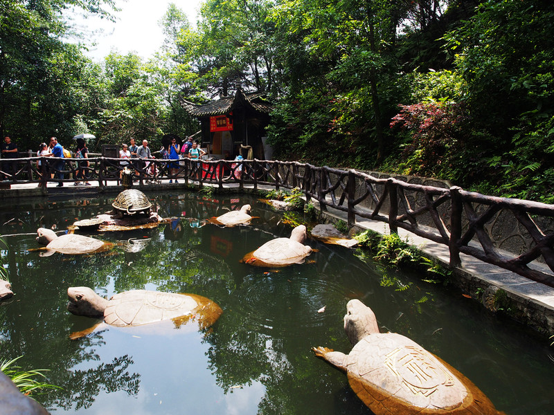 此去歸來不看山——張家界三日遊最經典線路,最詳盡攻略