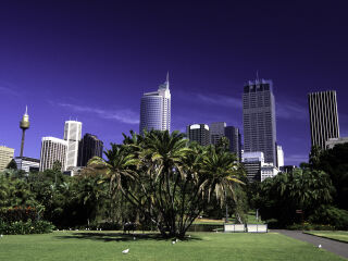 悉尼皇家植物园