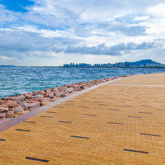 深圳湾红树林海边公园