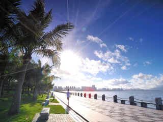 深圳湾