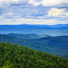 Inner Mongolia Moerdao National Forest Park