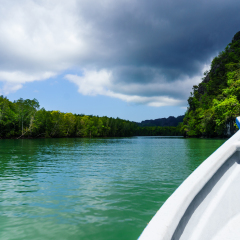 In boat shot during the river cruise showing the tree covered hills, cloudy skies and beautiful green water in in Kilim park Langkawi. This is a popular tourist destination