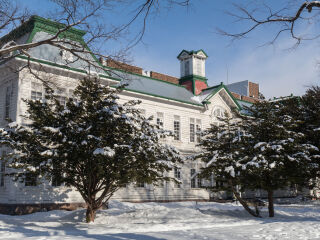 北海道大学