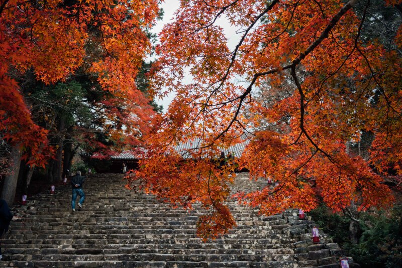 神护寺赏枫 | 旧来红叶寺 堪忆玉京秋
