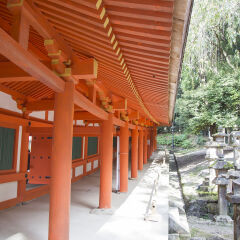 春日大社,奈良,日本,亚洲