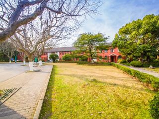 复旦大学