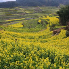 灵山景区