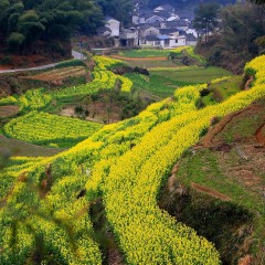 灵山景区