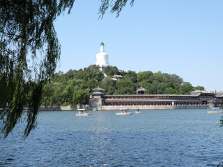 回答图片