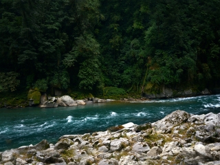 高黎贡山自然保护区