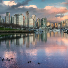 False Creek City view