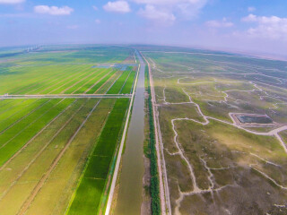 上海东滩湿地公园