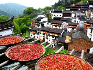 江西婺源风景区