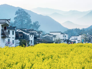 江西婺源风景区