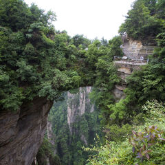 Hunan,Zhangjiajie National Forest Park,Zhangjiajie,Beauty in Nature,Mt Tianzi,Mount Tianzi,