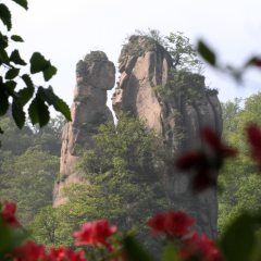 西泰山