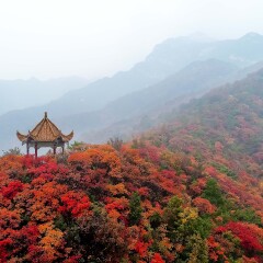 花果山