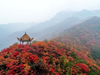 花果山