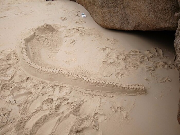 海滩的沙子非常细腻,不知是谁作的"长城沙雕".