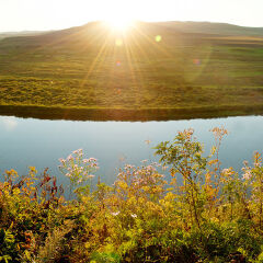 内蒙古莫尔道嘎白鹿岛全景图