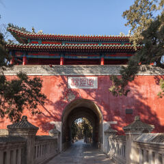 山东省曲阜孔林