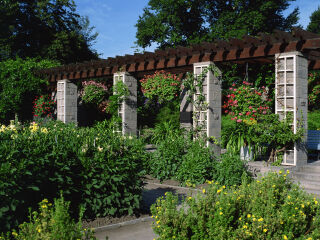 蒙特利尔植物园