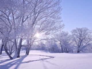 龙湾群国家森林公园