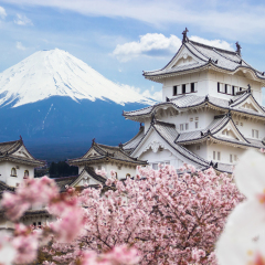 Himeji Castle and full cherry blossom, with Fuji mountain background, Japan