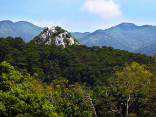 鼎湖山