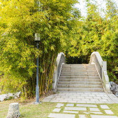 旅游景点 厦门园博苑园林
