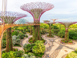 滨海湾花园