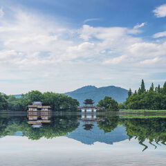 Hangzhou,West lake,Breeze-ruffled Lotus at Quyuan Garden