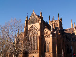 罗托鲁瓦红树林