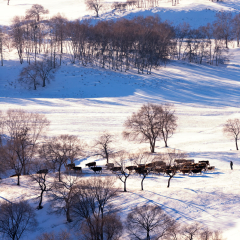乌兰布统蛤蟆坝上风光