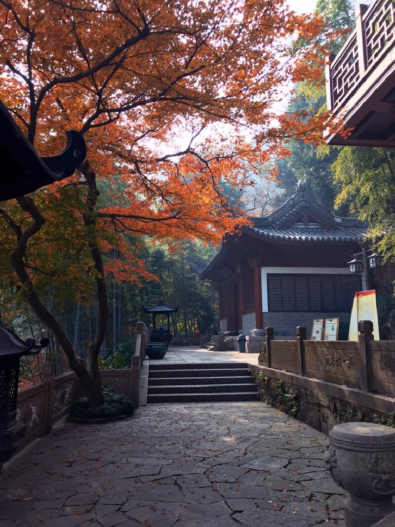 灵隐秋色_灵隐寺动态_途牛