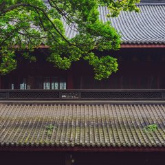 Architectural details of traditional Chinese building, with black tiled rooftop under trees, in Lingyin Temple, Hangzhou, China