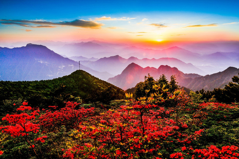 景點地址浙江省麗水市龍泉市鳳陽山·百山祖國家級自然保護區內.