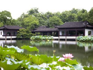 杭州曲院风荷景区