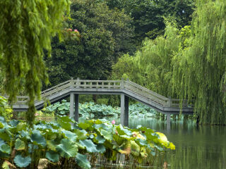 杭州曲院风荷景区
