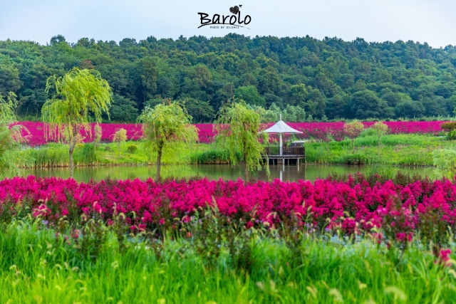 【途牛首发】【南京】巴布洛生态谷2日游全攻略