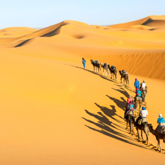 Camel caravan on the Sahara desert