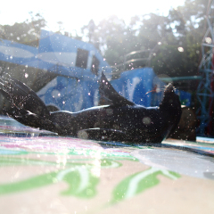 深圳野生动物园