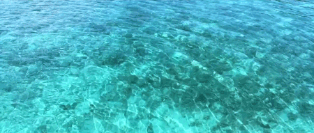 特别清澈的海水