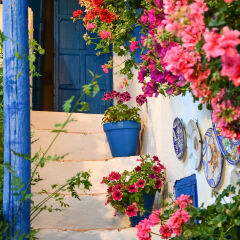 Picturesque stair with flowers, blue door and pots