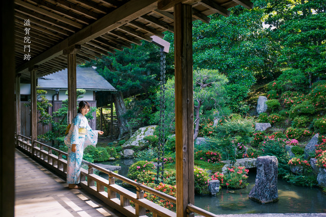 旅日手帐vol1|初夏在日本追紫阳花，才是梅雨季正确打开方式_日本_攻略