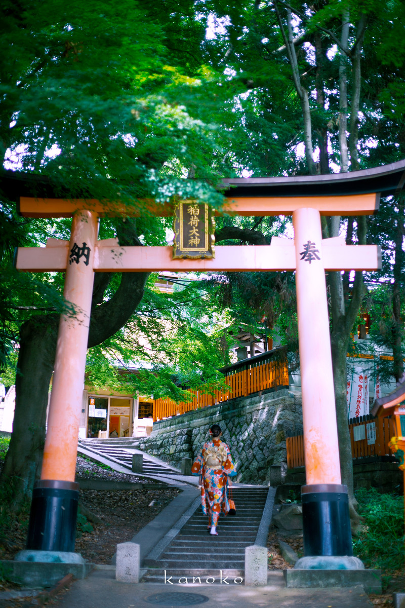 旅日手帳vol1|初夏在日本追紫陽花,才是梅雨季正確打開方式