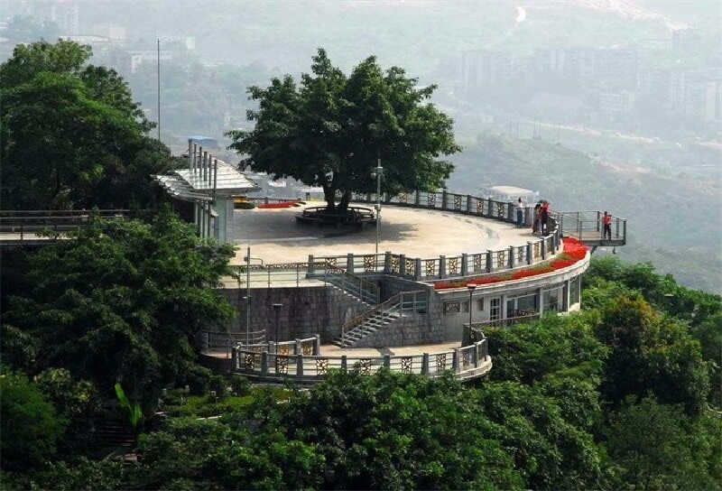 晚上就在这边吃的饭,南山一棵树观景园旁边有一个泉水鸡一条街,在这里