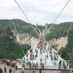 Zhangjiajie,China-May 08,2017 : Zhangjiajie's National Forest Park The Grand Canyon of Zhangjiajie skywalk Glass-bottom Bridge